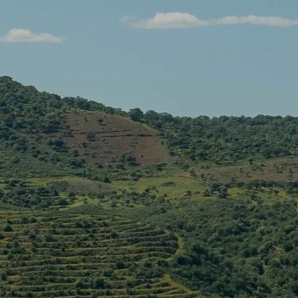 Paisagem natural do interior de Portugal